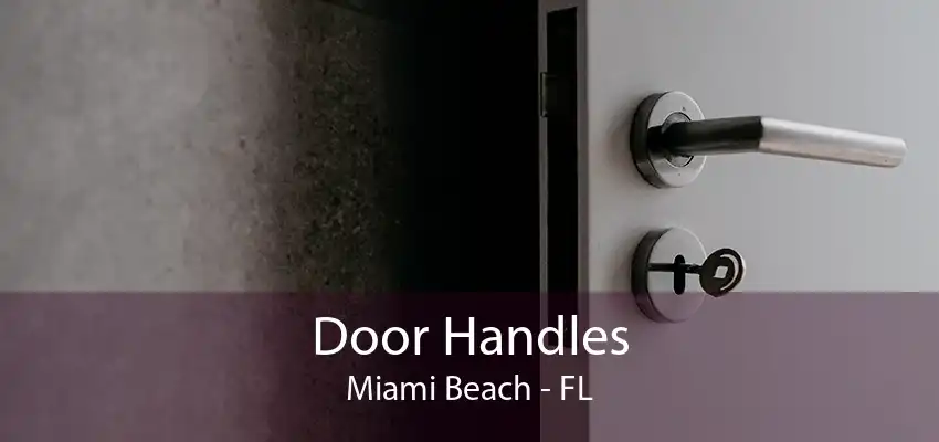 Door Handles Miami Beach - FL